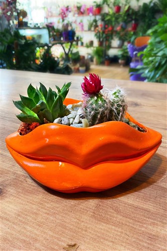 Dudaktan Kalbe Kaktüs Arajmanı (Büyük Boy)