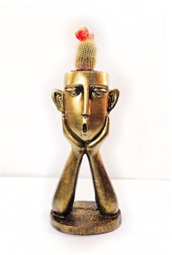 Düşünceli Altın Adam ve Canlı Kaktüs