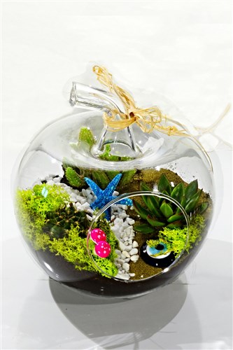 Elma Bahçesi Teranyum (Orta Boy)