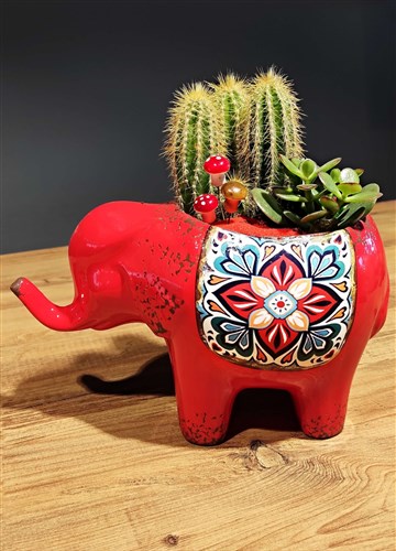 Etnik Fil 2 (Büyük Boy)