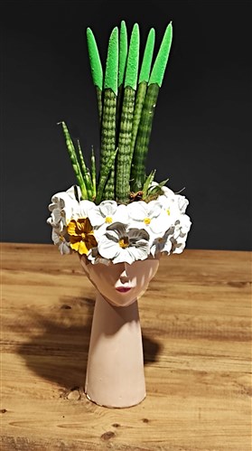 Flora Büst Saksılı Sanseveria (Paşa Kılıcı) 50 cm