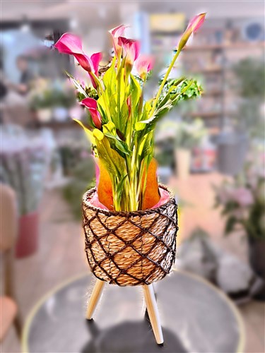 Gala Potted Flower - 70 cm. (With Decorative Pot)