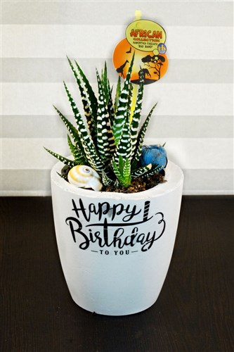 Happy Birthday - Peludo Collective Handmade