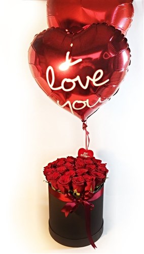 Hayallerin Ötesinde