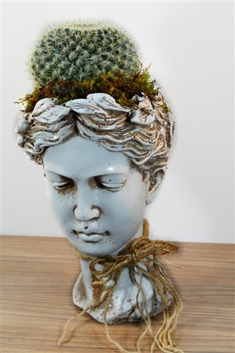 Helen Saksı Büyük boy Kaktüs