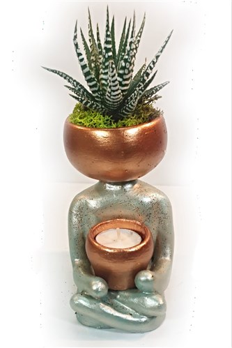 Imagine Series - Grey (Meditasyon) 25 cm