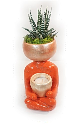 Imagine Series - Orange (Meditasyon) 25 cm