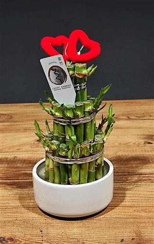 Japon Lucky Piramit Bambu