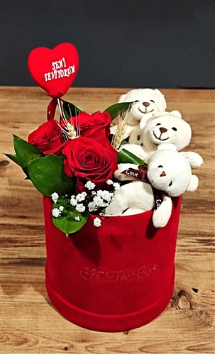 Silindir Kutu içinde Güller, Sevgili Ayıcık Ailesi ve Çoçukları