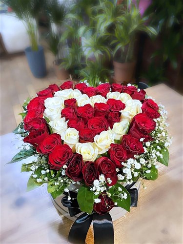 Kalbimden Gelen (Canlı 50 Gül ve Cipsofila Tanzimi)