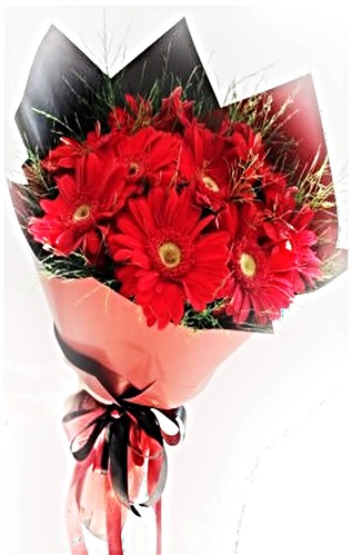 Kırmızı Gerbera Buketi (10 lu)