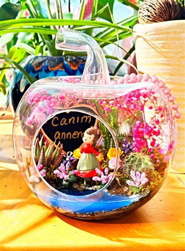 Cam Teranyum (Orta boy Elma Model)