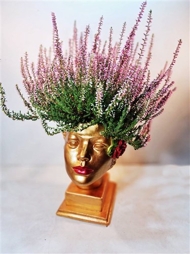 Leda Döküm Saksıda Calluna Çiçeği