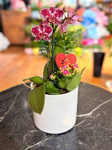 Mini Potpori Orkide Arajmanı 2026