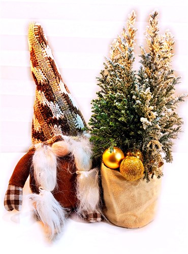 Noel Baba ve Mini Çam Ağacı II (Canlı)