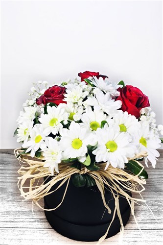 Papatya & Gül Arajmanı