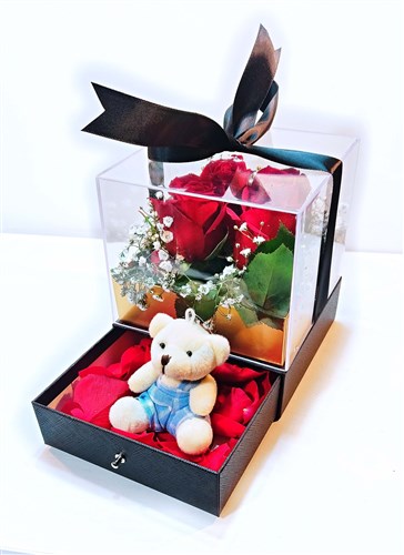Pleksi Kapaklı Dekor Kutu içerisinde Canlı Güller ve Minik Ayıcık