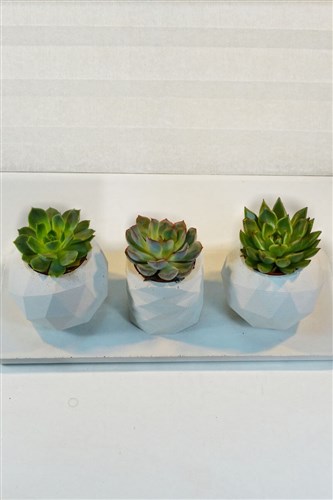 Rosegold Store Handmade No: 19 - 3'lü ve altlığıyla