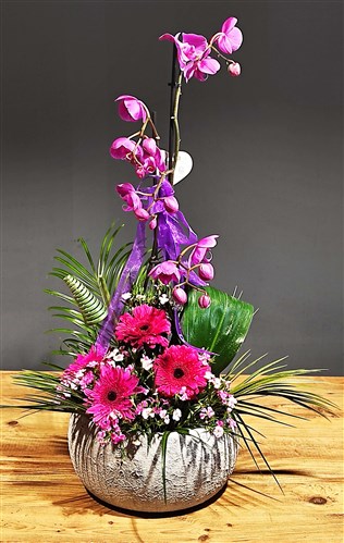 Seramik Saksıda Lila Orkide, Hüsnüyusuf ve Gerbera Arajmanı