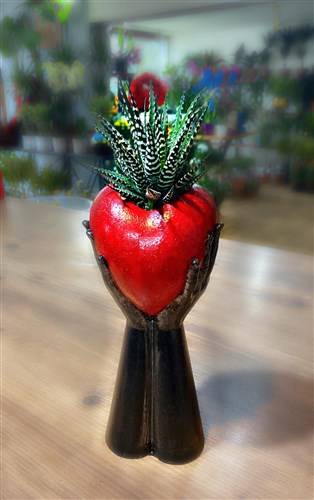 Seven Kalp ve Canlı Teranyum Bitkisi