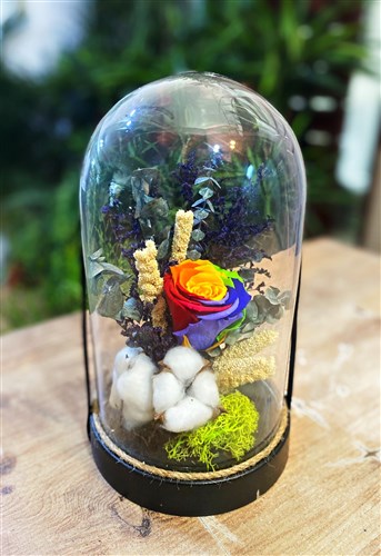 Solmayan Gül - Gökkuşağı - 30 cm