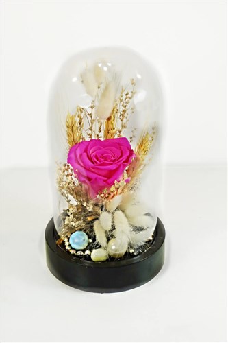 Solmayan Gül - Pembe - August