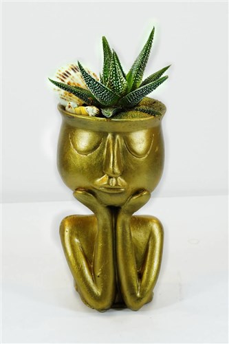 Thinky Serisi Gold ve Canlı Kaktüs