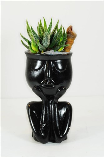 Thinky Serisi ve Canlı Kaktüs