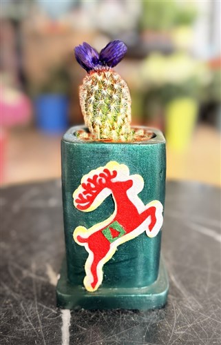 New Year Cactus Series (210)