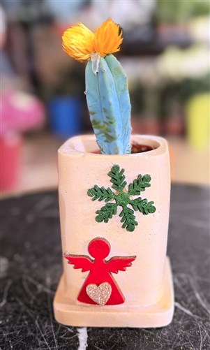 New Year Cactus Series (220)