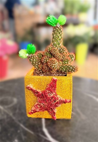 New Year Cactus Series (250)