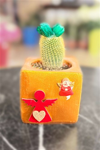 New Year Cactus Series (280)
