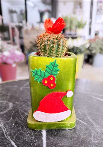 New Year Cactus Series (282)