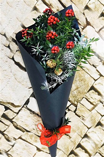 Yılbaşı Çiçeği Kokina Buketi canlı (kesme)