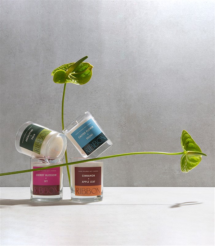 RIBBON Color Series Cam Mum Seti 4Lü