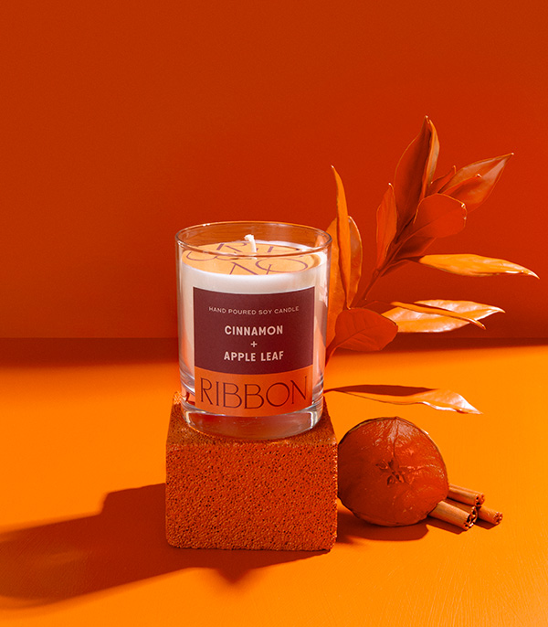 Cinnamon + Apple Leaf Candle Dry Flower Bag Gift Set
