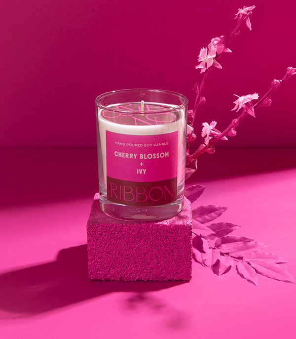 Cherry Blossom + Ivy Mum Kuru Çiçek Çantalı Hediye Seti