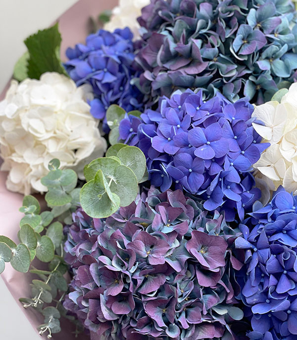 Midnight Grand Blue Hydrangea Bouquet