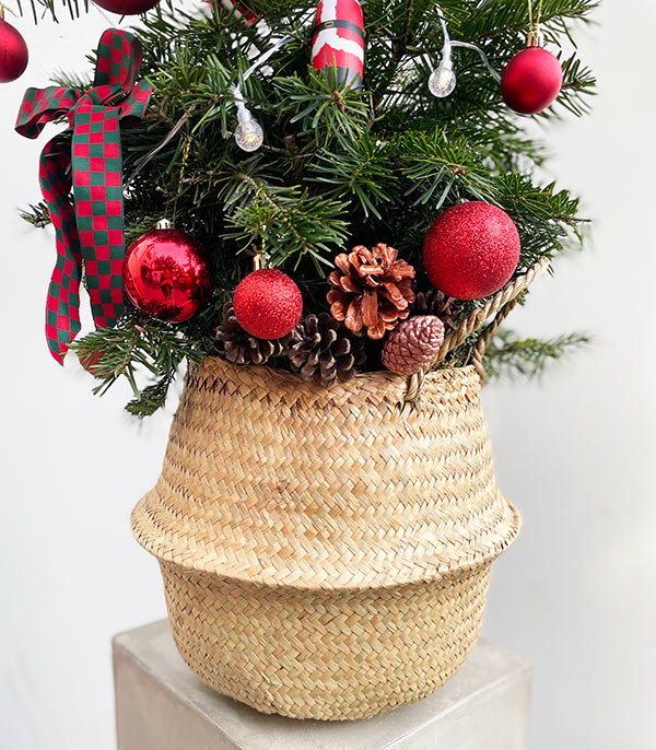 Straw Basket Red Ornaments Real Christmas Pine Tree