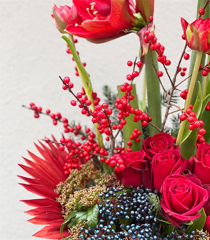 Crimson Amaryllis Aranjmanı Limited Edition