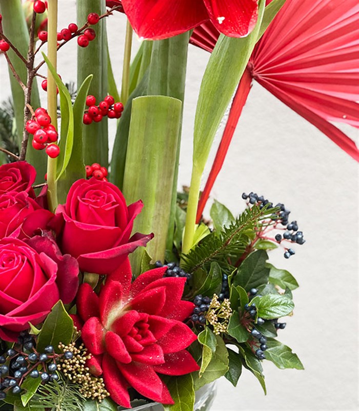Crimson Amaryllis Aranjmanı Limited Edition