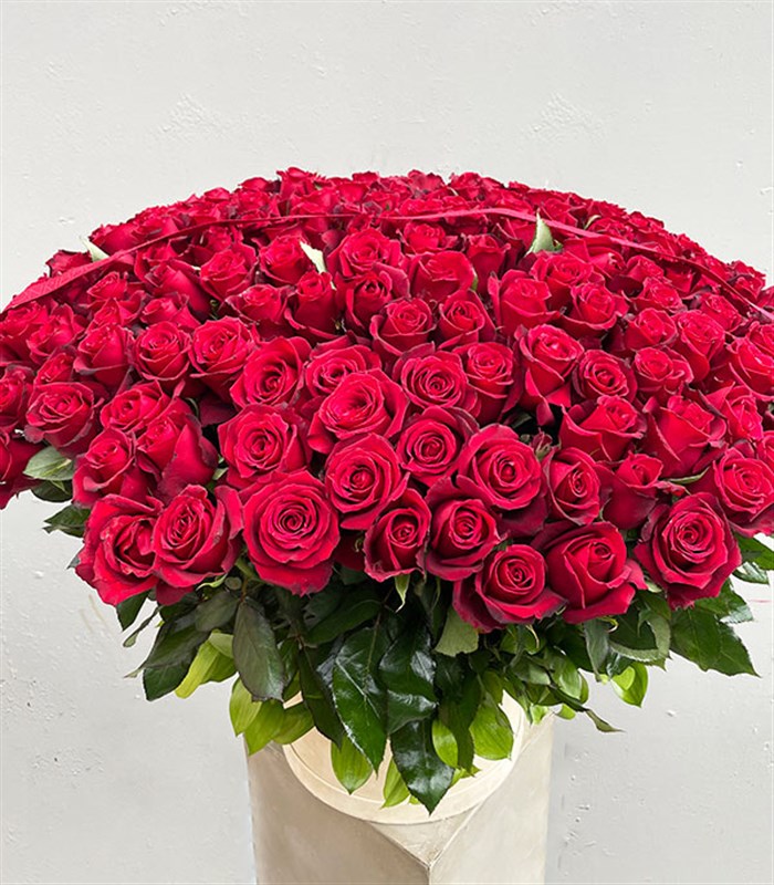 200 Kırmızı Gül Aranjmanı Royal Deluxe Kutuda