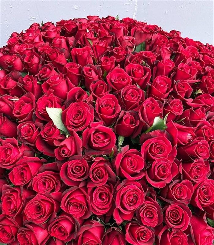 200 Kırmızı Gül Aranjmanı Royal Deluxe Kutuda