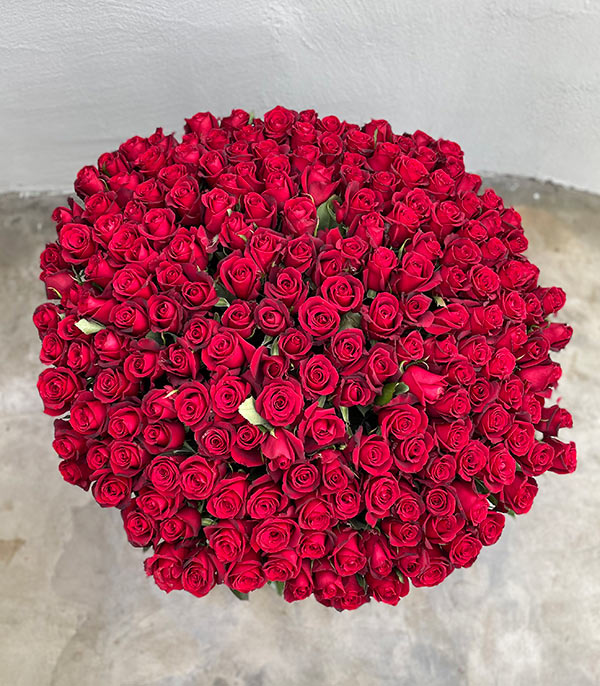 200 Red Roses Arrangement Box Royal Deluxe