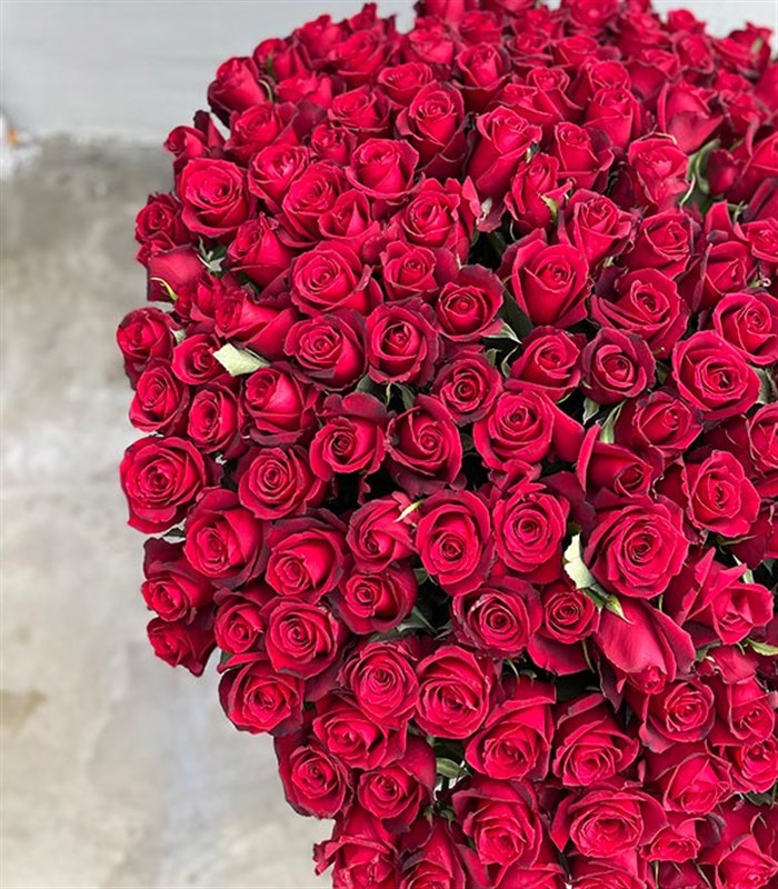 200 Kırmızı Gül Aranjmanı Royal Deluxe Kutuda