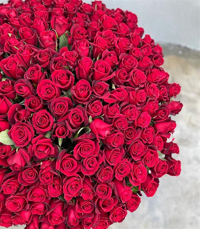 200 Kırmızı Gül Aranjmanı Royal Deluxe Kutuda