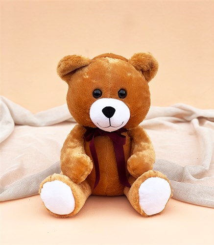 Peluş Ayıcık