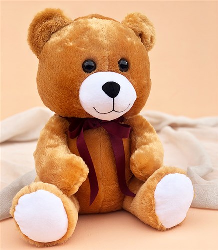 Peluş Ayıcık