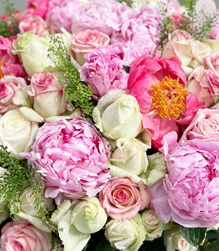 Soul Mate Royal Deluxe Panoramik Pembe Beyaz Şakayık Gül Aranjmanı