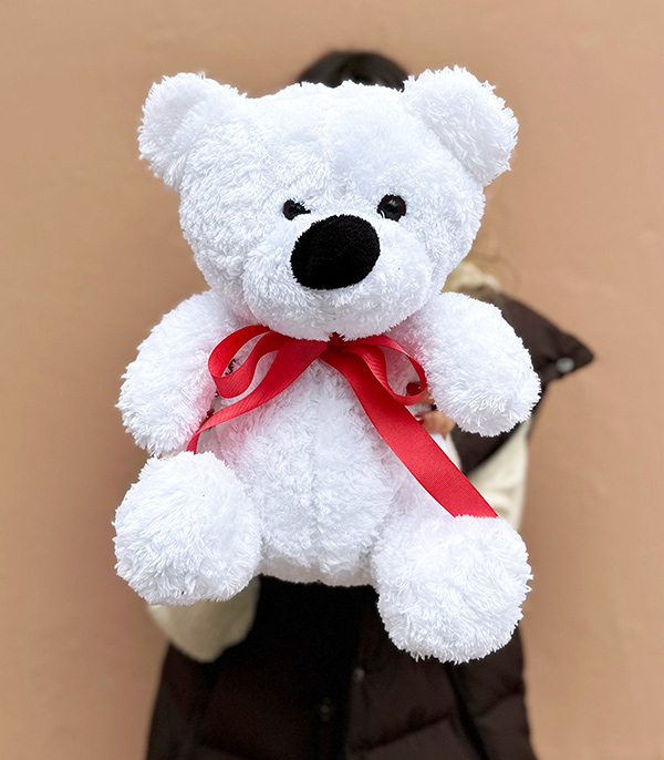 White Plush Teddy Bear